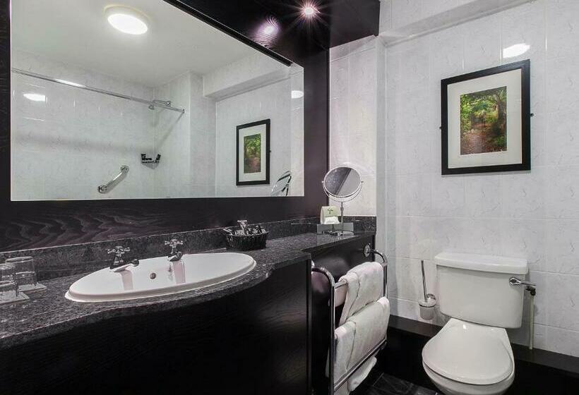 חדר סופריור עם מיטת קינג, Ashling Hotel Dublin