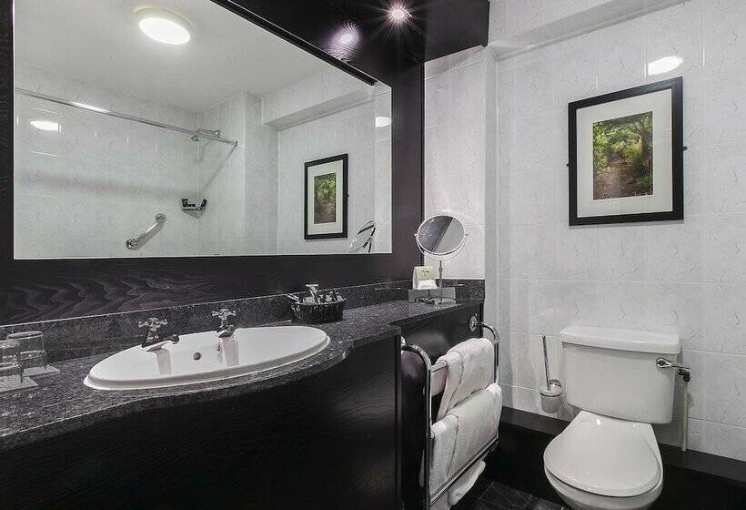 חדר סופריור, Ashling Hotel Dublin