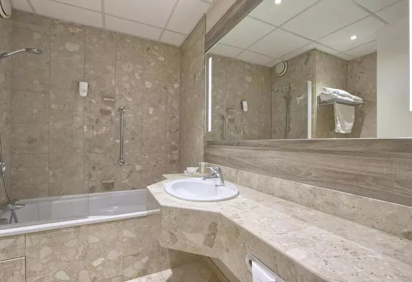اتاق اجرایی با تخت بزرگ, Best Western Plus Paris Orly Airport