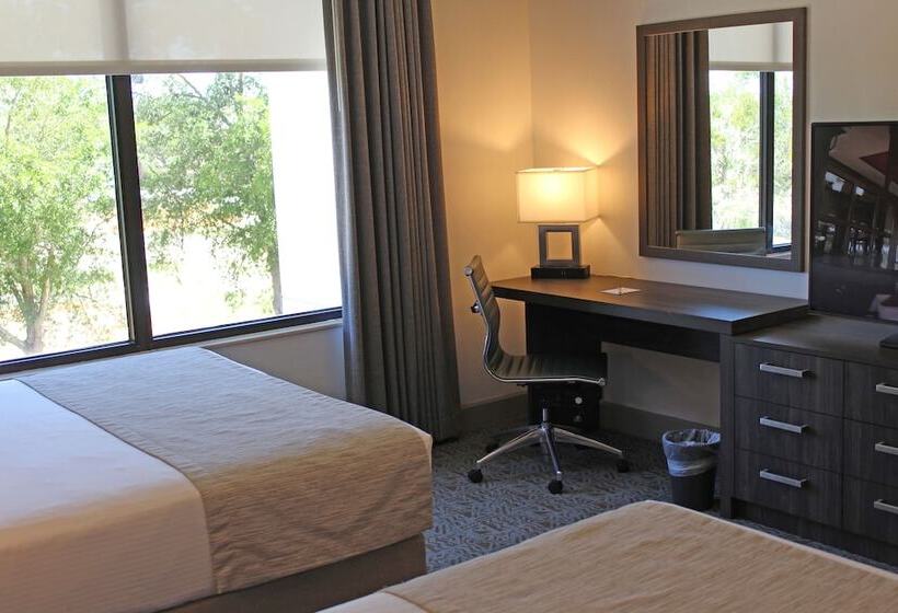 デラックススイート, Buena Vista Suites Orlando