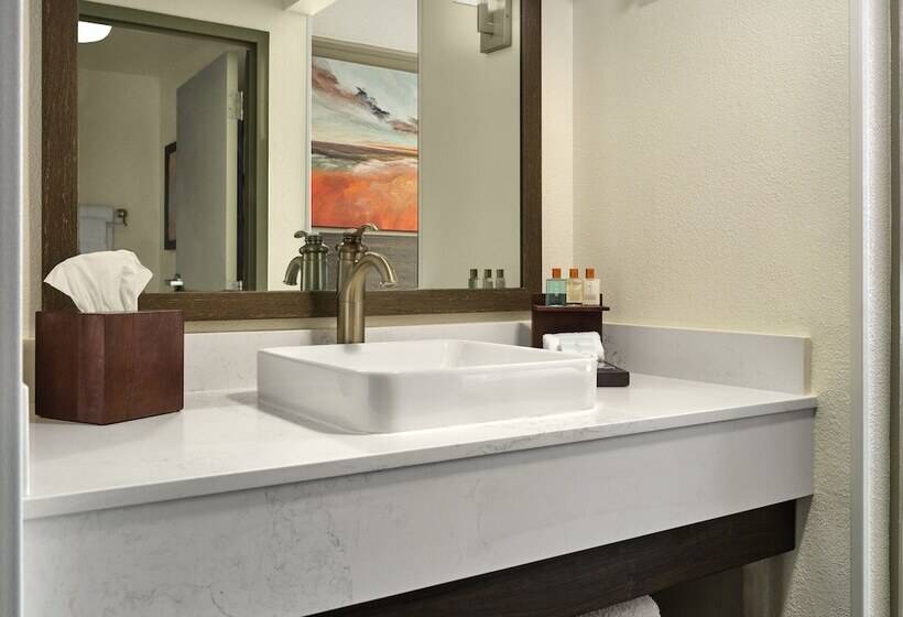 デラックススイート, Buena Vista Suites Orlando