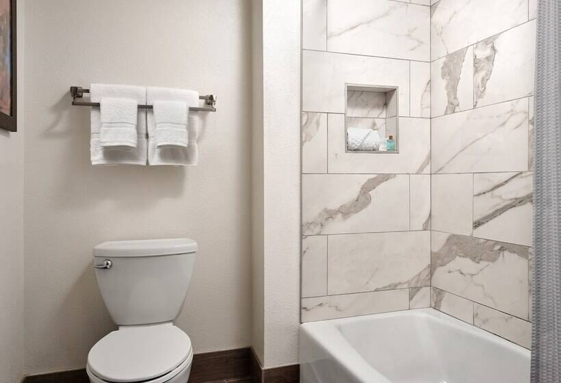 デラックススイート, Buena Vista Suites Orlando