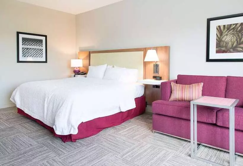 スタンダードルーム, Hampton Inn & Suites South Lake Tahoe