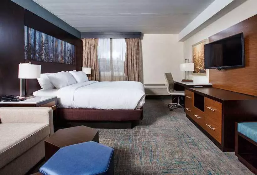 キングサイズベッドのスタンダードルーム, Hampton Inn & Suites South Lake Tahoe