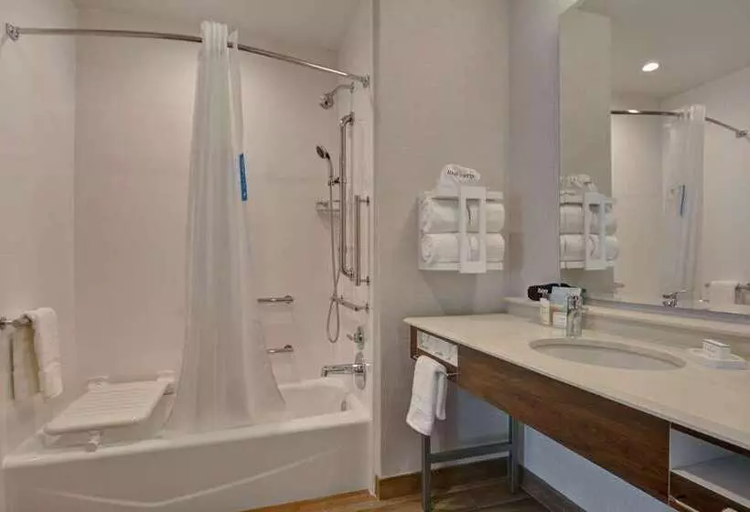 身障者適用スタンダードルーム, Hampton Inn & Suites South Lake Tahoe