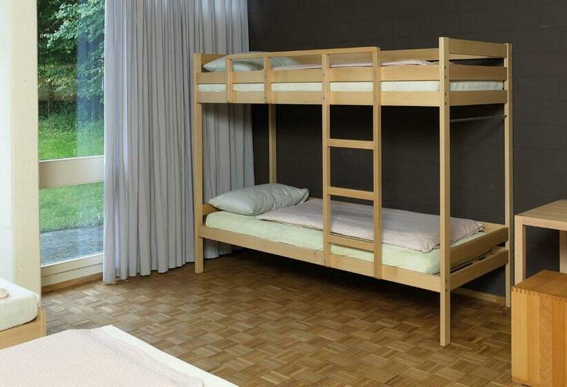 اتاق استاندارد چهارنفره با سرویس بهداشتی مشترک, Luzern Youth Hostel