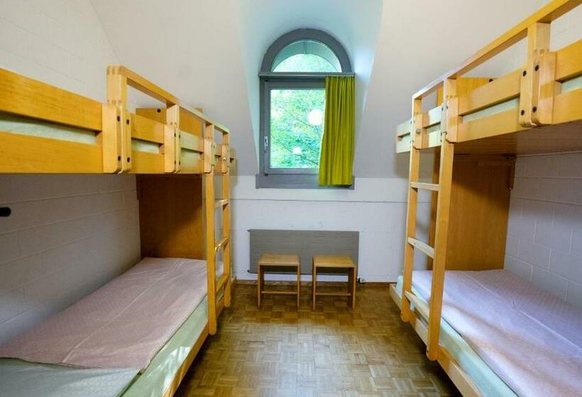 חדר סטנדרטי לארבעה עם חדר אמבטיה משותף, Luzern Youth Hostel