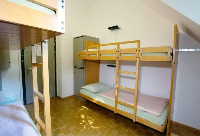 اتاق استاندارد چهارنفره با سرویس بهداشتی مشترک, Luzern Youth Hostel