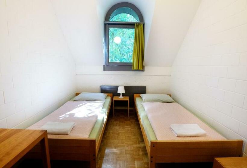 חדר סטנדרט חדר אמבטיה משותף, Luzern Youth Hostel