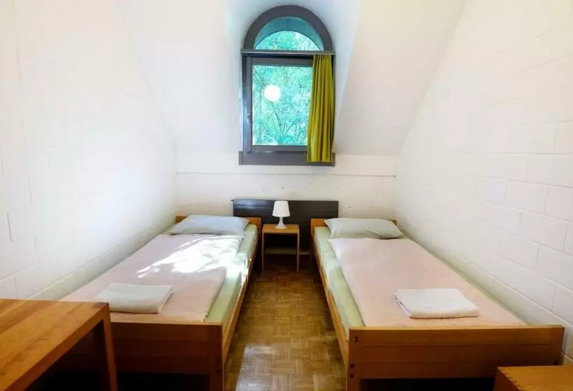 اتاق استاندارد با سرویس بهداشتی مشترک, Luzern Youth Hostel