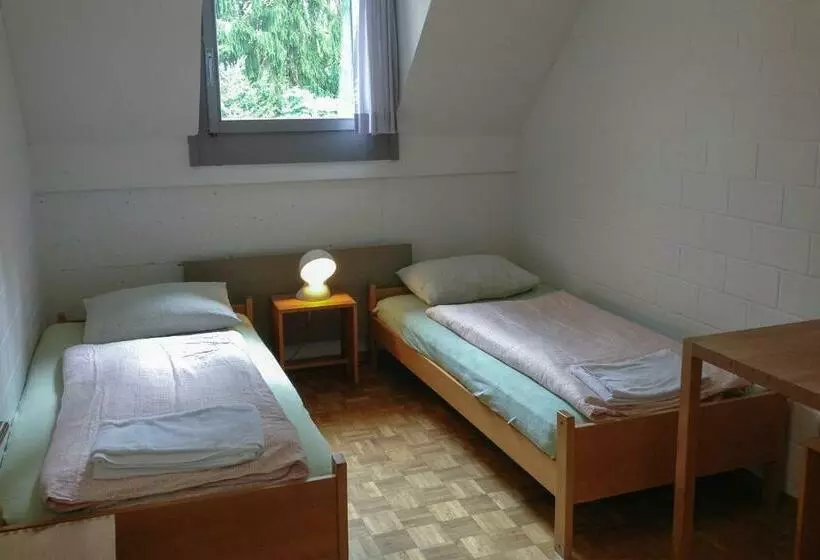 اتاق استاندارد با سرویس بهداشتی مشترک, Luzern Youth Hostel