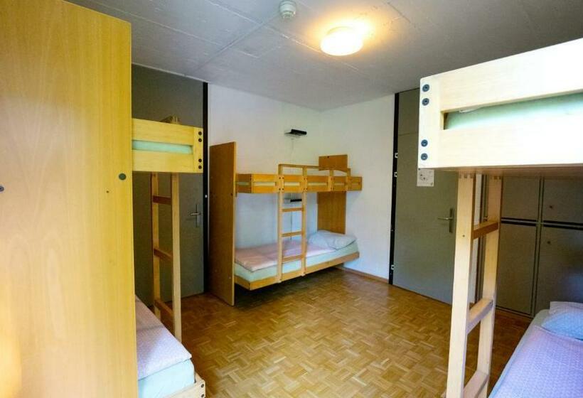تختخواب در اتاق مشترک, Luzern Youth Hostel
