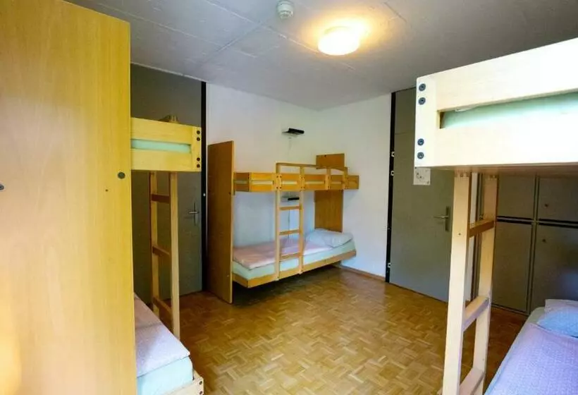 تختخواب در اتاق مشترک, Luzern Youth Hostel