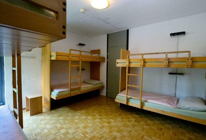 מיטה בחדר משותף, Luzern Youth Hostel