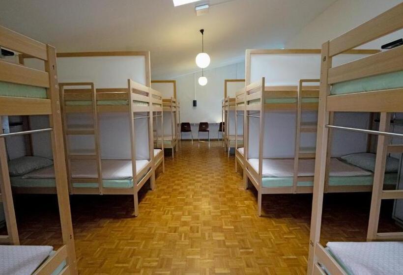 تختخواب در اتاق مشترک, Luzern Youth Hostel