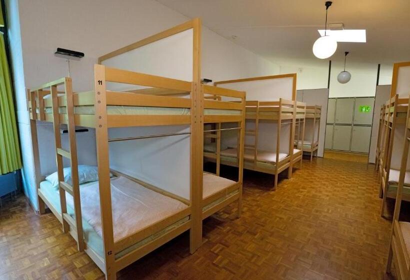 מיטה בחדר משותף, Luzern Youth Hostel