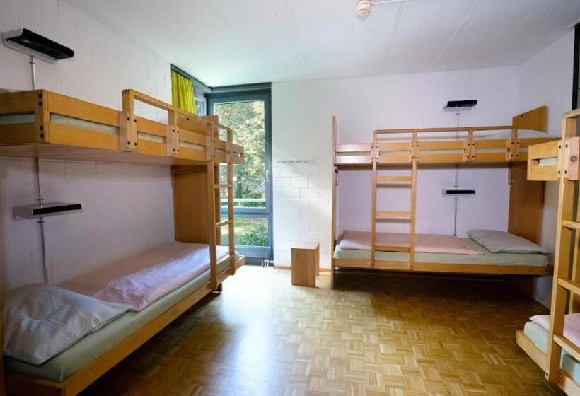 חדר סטנדרט חדר אמבטיה משותף, Luzern Youth Hostel