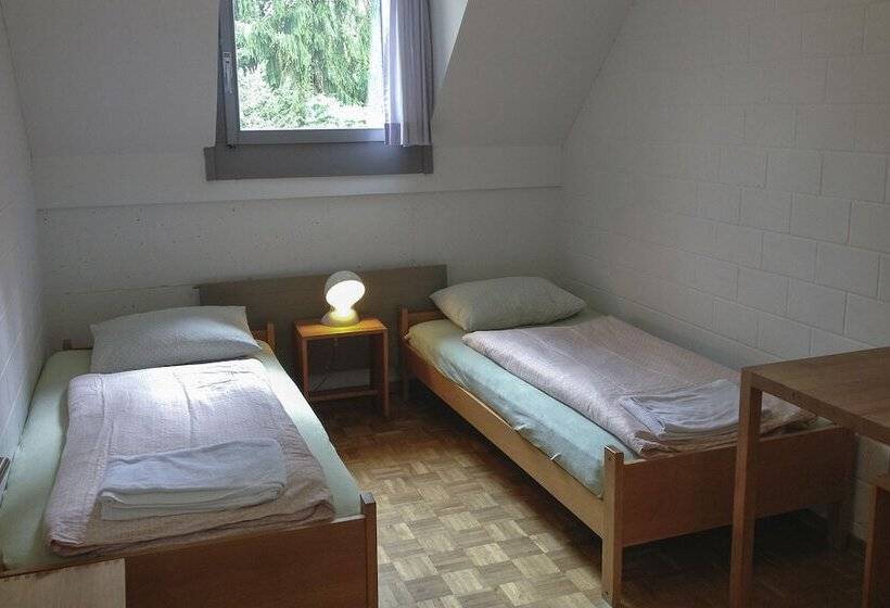 اتاق استاندارد با سرویس بهداشتی مشترک, Luzern Youth Hostel