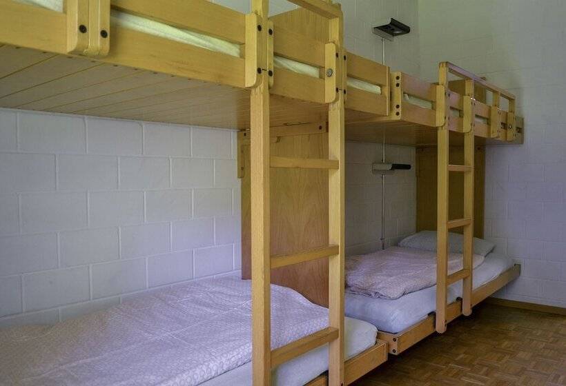 اتاق استاندارد چهارنفره با سرویس بهداشتی مشترک, Luzern Youth Hostel