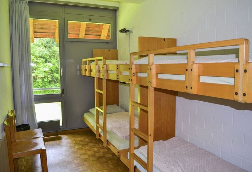 חדר סטנדרטי לארבעה עם חדר אמבטיה משותף, Luzern Youth Hostel