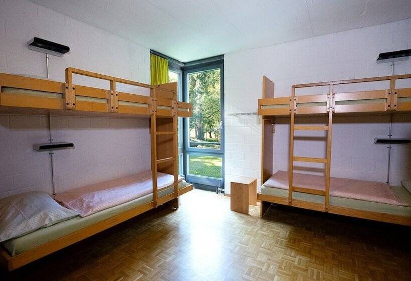 חדר סטנדרט חדר אמבטיה משותף, Luzern Youth Hostel