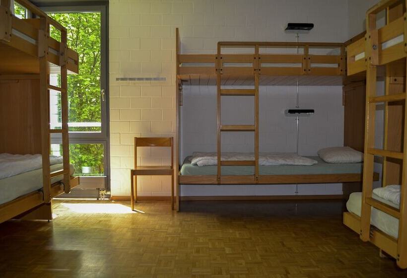 חדר סטנדרט חדר אמבטיה משותף, Luzern Youth Hostel