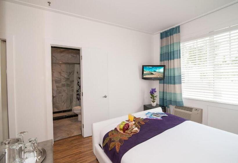 غرفة قياسية, Shelley