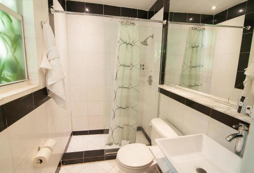 غرفه قياسيه سريرين مزدوجين, Shelley