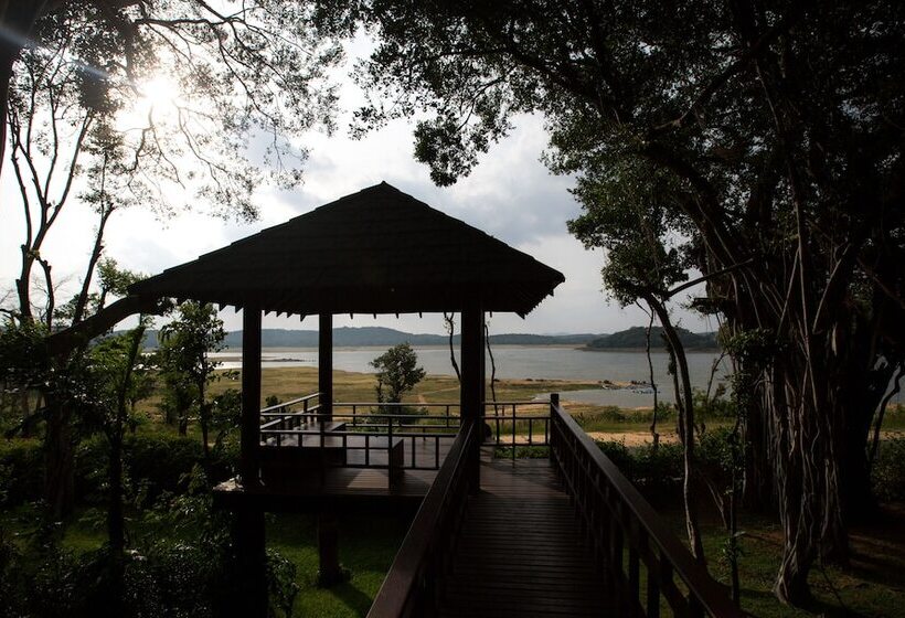 منزل غرفة نوم واحدة, The Deer Park