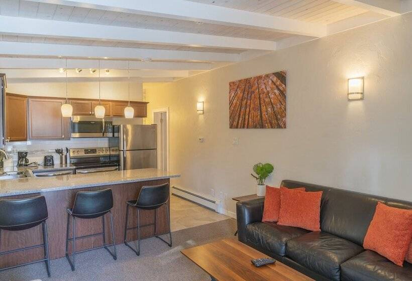 شقة غرفة واحدة, Aspenalt Lodge