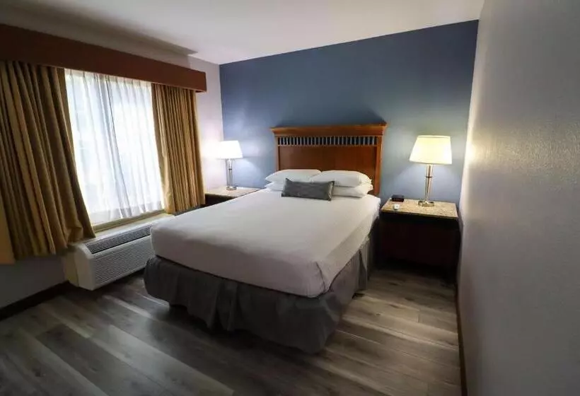 クイーンサイズベッドのスタンダードルーム, Best Western Denver Southwest