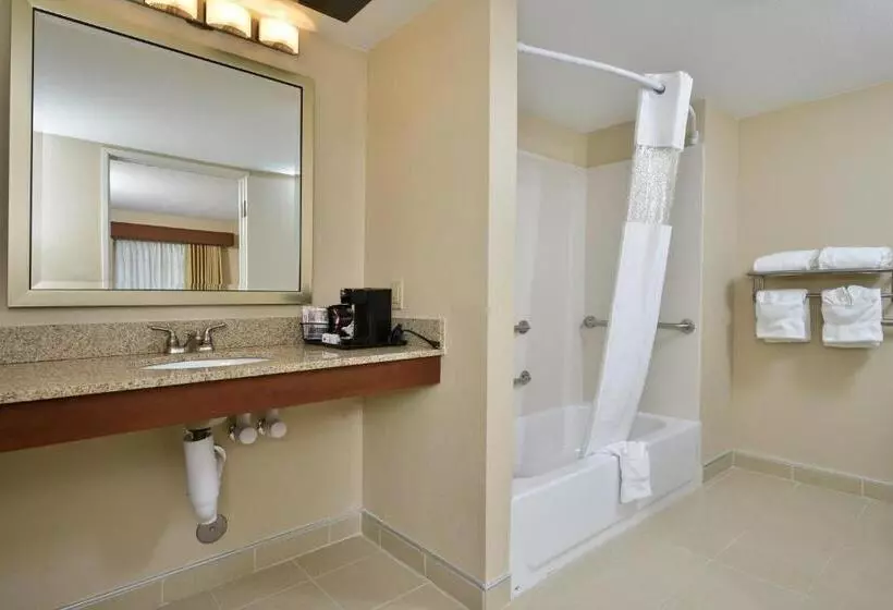 身障者適用スイートルーム, Best Western Denver Southwest