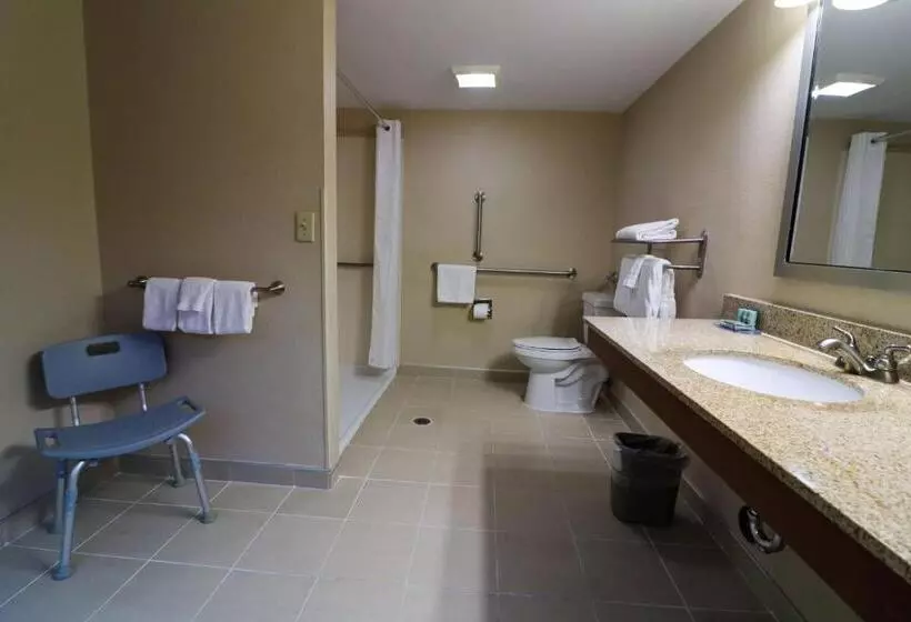 身障者適用スタンダードルーム, Best Western Denver Southwest