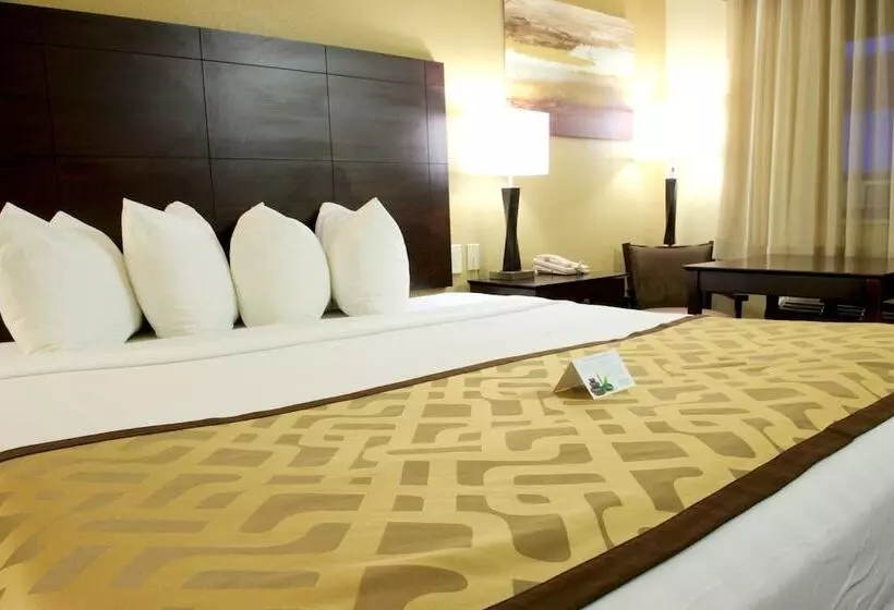 デラックスルーム, Best Western Green Tree Inn