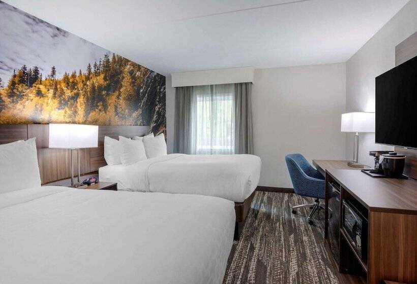 스탠다드 룸 더블 침대 2개, Clarion Pointe Charlottesville