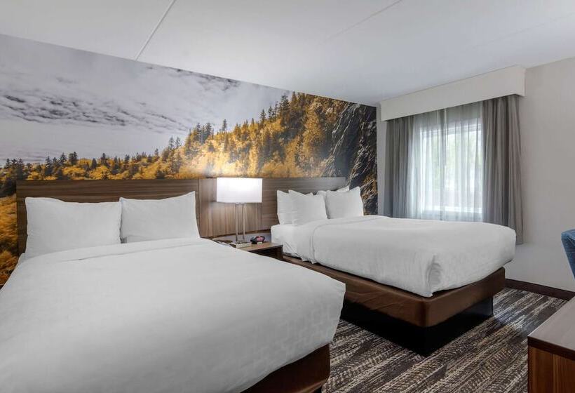 غرفه قياسيه سريرين مزدوجين, Clarion Pointe Charlottesville