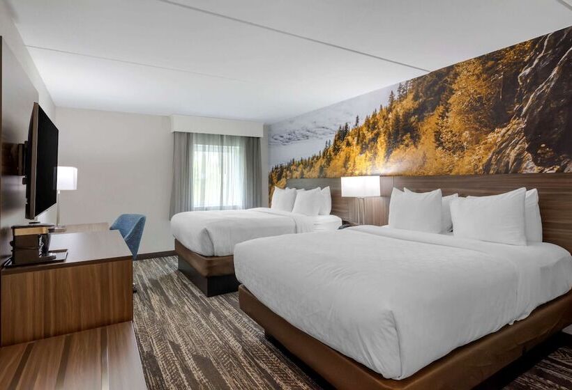 غرفه قياسيه سريرين مزدوجين, Clarion Pointe Charlottesville