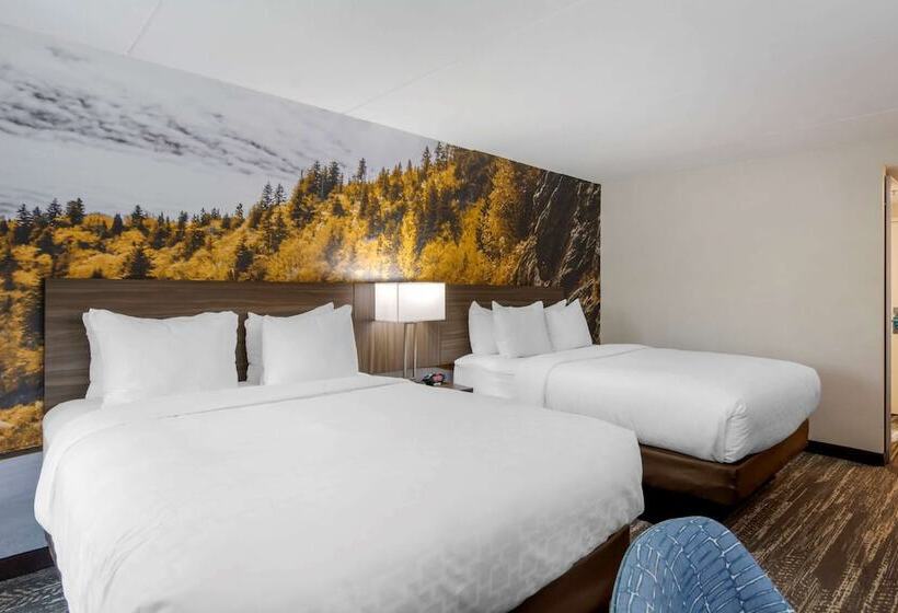 غرفه قياسيه سريرين مزدوجين, Clarion Pointe Charlottesville