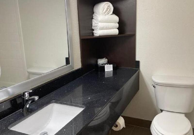 스탠다드 룸, Clarion Pointe Charlottesville