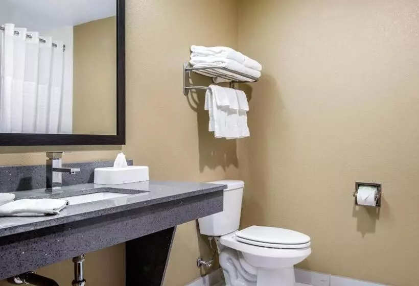 Standard-huone, Comfort Inn & Suites Ashland