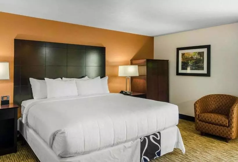 Sviitti King-vuode, Comfort Inn & Suites Ashland