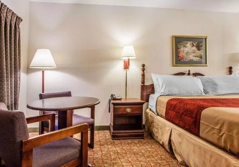 キングサイズベッドのスタンダードルーム, Econo Lodge Douglassville Pottstown