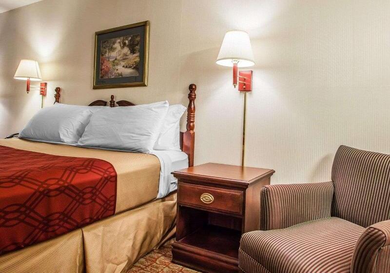غرفة قياسية سرير كينج, Econo Lodge Douglassville Pottstown