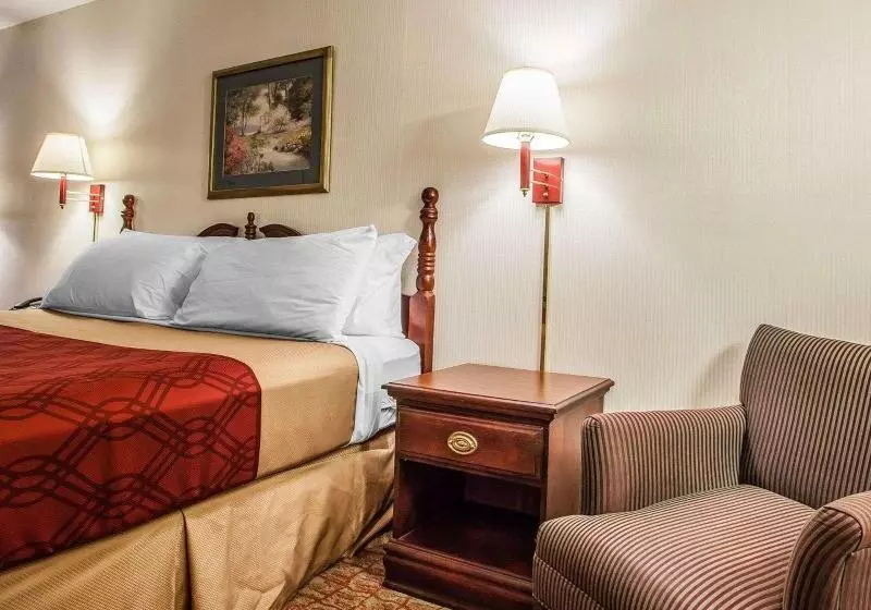 キングサイズベッドのスタンダードルーム, Econo Lodge Douglassville Pottstown