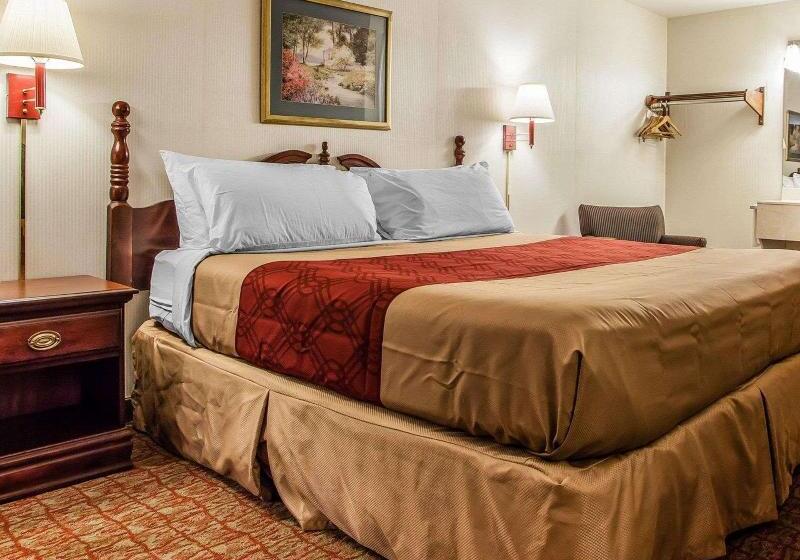 Стандартный Номер Кровать Кинг, Econo Lodge Douglassville Pottstown