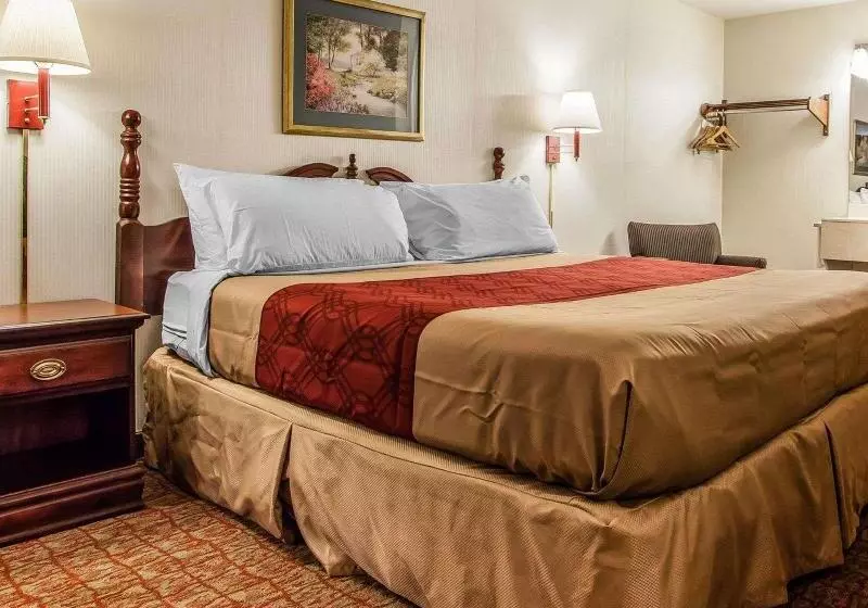 キングサイズベッドのスタンダードルーム, Econo Lodge Douglassville Pottstown