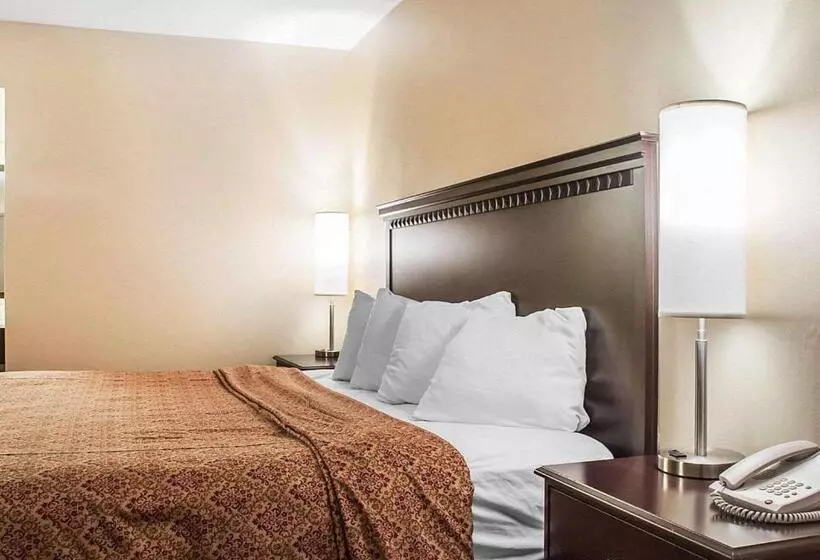 Standard-huone King-vuode, Econo Lodge Elmira Corning