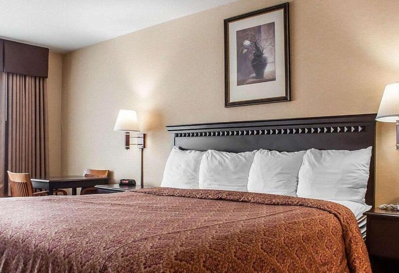 غرفة قياسية سرير كينج لذوى الإحتياجات الخاصة, Econo Lodge Elmira Corning