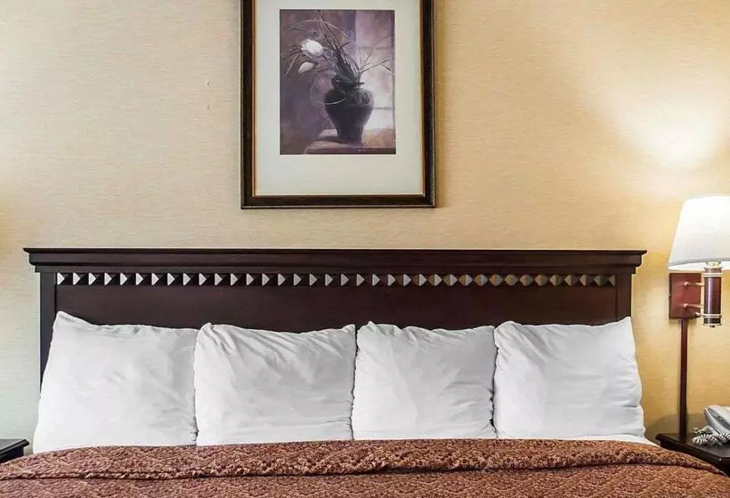 Standard-invahuone King-vuode, Econo Lodge Elmira Corning