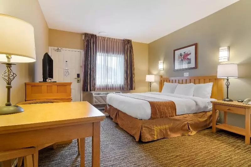 اتاق استاندارد با تخت بزرگ, Econo Lodge Inn & Suites